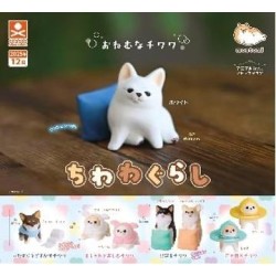 GASHAPON - Chiwawa (Lot de 40 Capsule 58mm) 