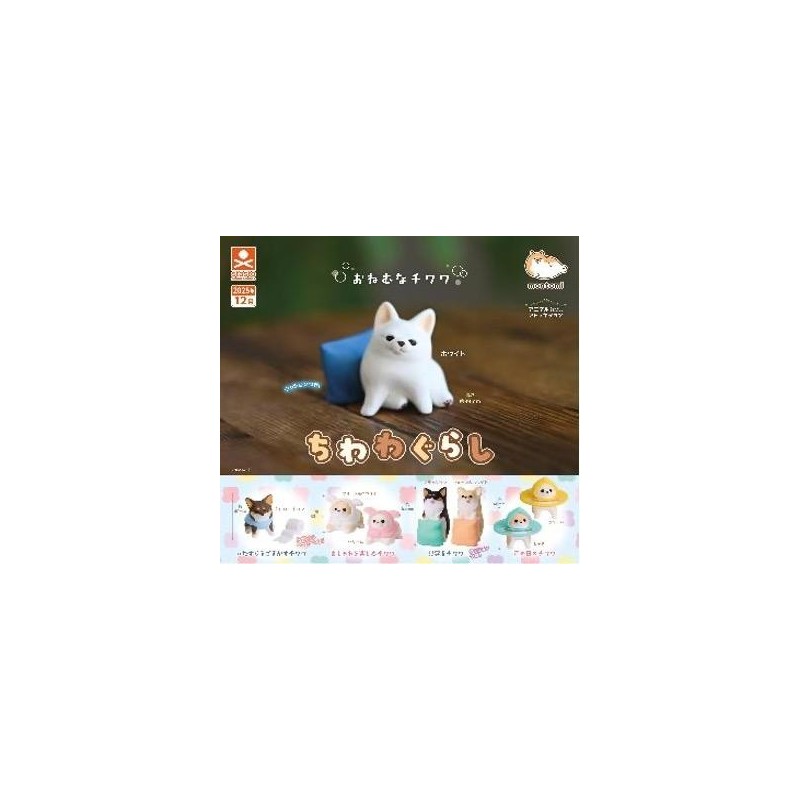 GASHAPON - Chiwawa (Lot de 40 Capsule 58mm) 