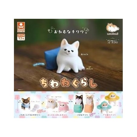 GASHAPON - Chiwawa (Lot de 40 Capsule 58mm) 