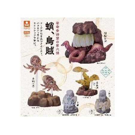 GASHAPON - Octopus & Squid (Lot de 30 Capsule 58mm) 