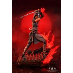 ASSASSIN'S CREED SHADOWS - Naoe - Statuette Animus 1/8 27cm 