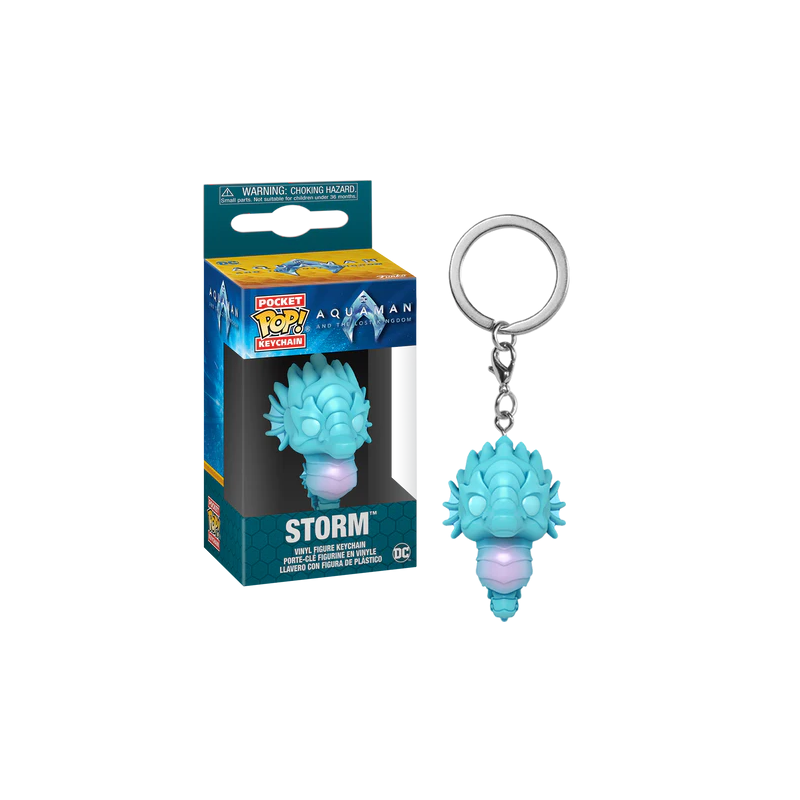 AQUAMAN 2 - Pocket Pop Keychains - Storm 