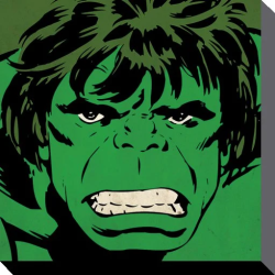 MARVEL COMICS - Canvas 40X40 '38mm' - HULK Close-Up 2