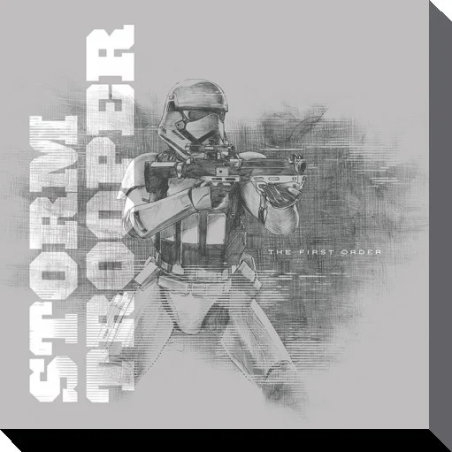STAR WARS - Canvas 40X40 '38mm' - Episode VII - Snowtrooper Grey 