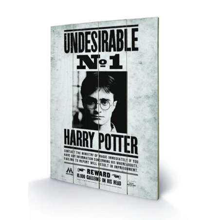 HARRY POTTER - Undesirable N° 1 - Impression sur bois 40x59cm 