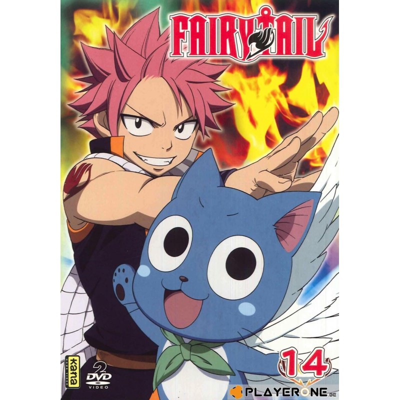 FAIRY TAIL -  Vol 14 (2DVD) 