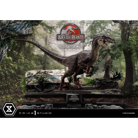 JURASSIC PARK 3 - Velociraptor Male - Statuette Legacy Museum 40cm 