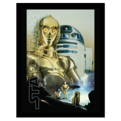 STAR WARS - Droids Key Art - Impression encadrée 30x40cm 2