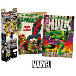 MARVEL - Spider-Man & Hulk - Set 2 Posters 52 x 38cm 2