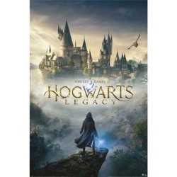 HOGWARTS LEGACY - Wizarding World Universe - Poster 61 x 91cm 2