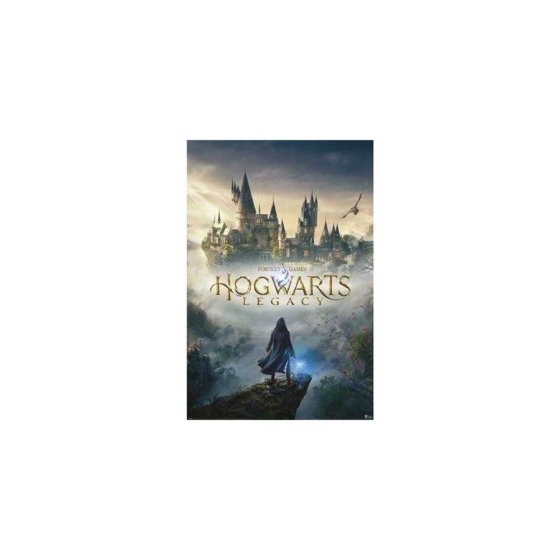 HOGWARTS LEGACY - Wizarding World Universe - Poster 61 x 91cm 