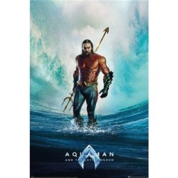 AQUAMAN ET LE ROYAUME PERDU - Tempête - Poster 61 x 91cm 2