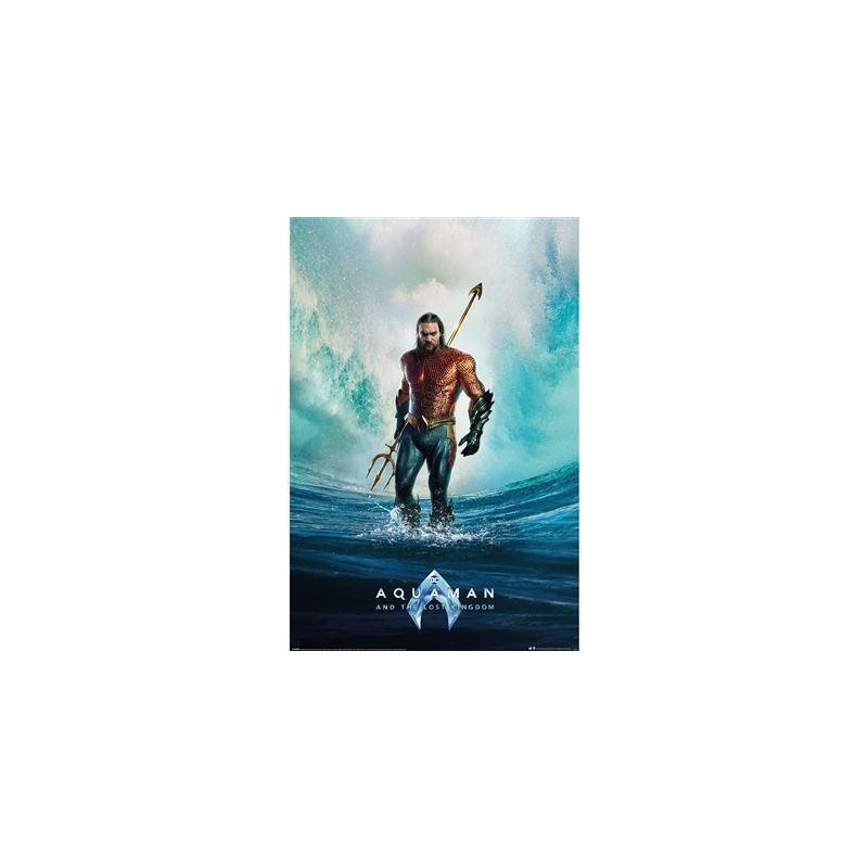 AQUAMAN ET LE ROYAUME PERDU - Tempête - Poster 61 x 91cm 