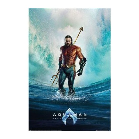 AQUAMAN ET LE ROYAUME PERDU - Tempête - Poster 61 x 91cm 