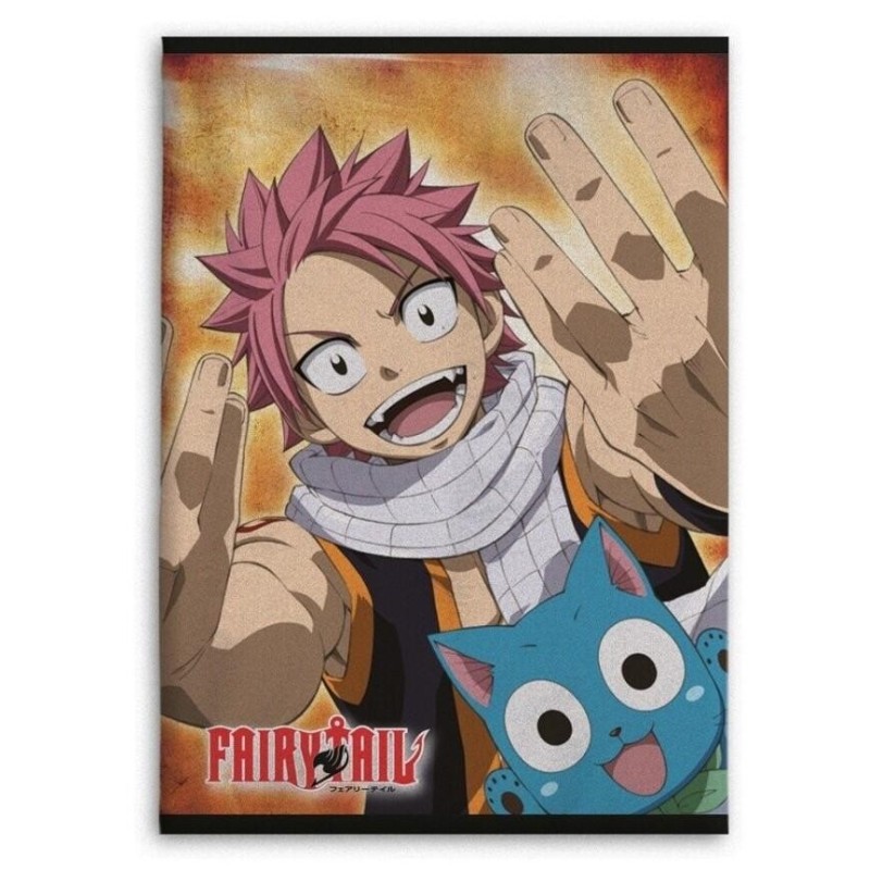 FAIRY TAIL - Natsu & Happy - Plaid en polaire 100x140cm 