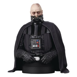 STAR WARS 6 - Dark Vador (sans casque) - Mini-Buste 1/6 15cm 