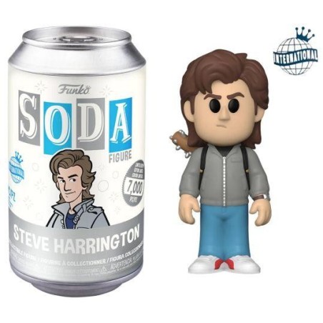 STRANGER THINGS - Vinyl Soda - Steve avec Chase 
