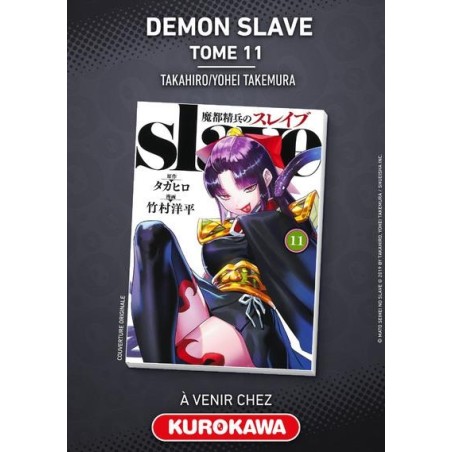 Demon Slave - Tome 11 