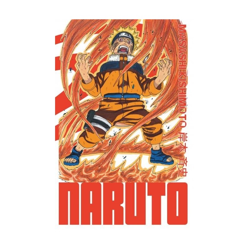 NARUTO - Edition Hokage - Tome 13 