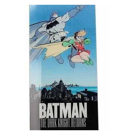 DC - Poster en Verre - Batman et Robin - 61X31x3cm 