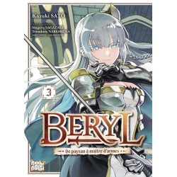 BERYL - DE PAYSAN A MAITRE D'ARMES - Tome 3 