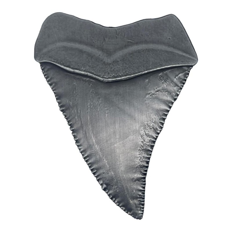 JAWS 50TH ANNIVERSARY - Shark Tooth - Limited Edition Medallion 