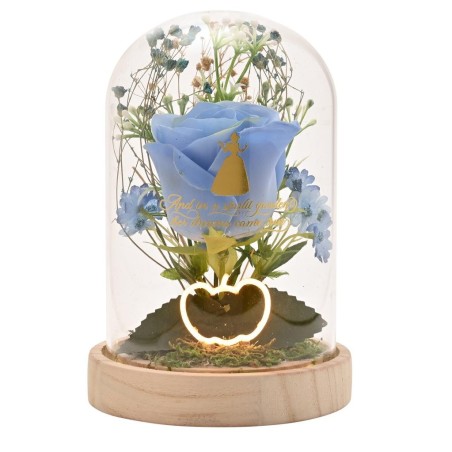 DISNEY PRINCESSES - Cendrillon - Cloche Florale avec Lumière Néon 