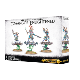 TZEENTCH ARCANITES TZAANGOR ENLIGHTENED