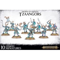 TZEENTCH ARCANITES TZAANGORS