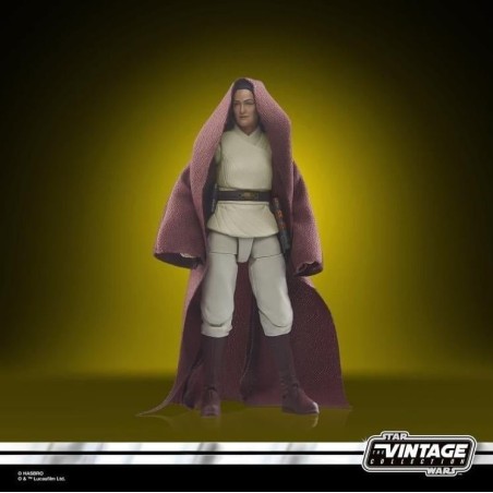 ACOLYTE - Master Indara  - Figurine Series Vintage 