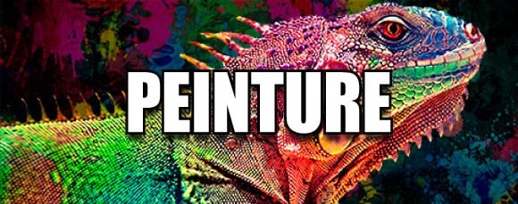 Peintures